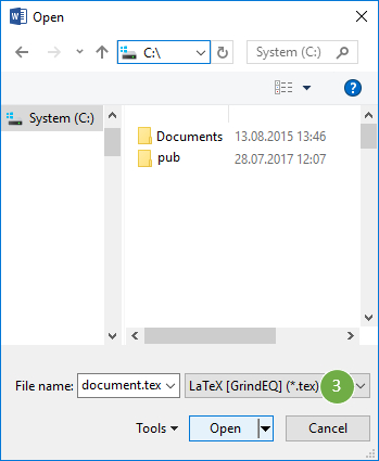 Open type: LaTeX [GrindEQ] (*.tex)